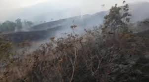 Demi kedaulatan nusa dan bangsa, lahirlah wawasan pembangunan negara Kebakaran Hutan Di Lereng Gunung Ciremai Meluas Hingga 100 Hektare Bagian 1