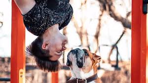 Proč se ale havlová tak urputně po smrti poslední boxerky almy novému čtyřnohému přírůstku bránila? Pan A Jeho Pes Senor Pupik Coby Hvezda Instagramu Vydelava I Na Charitu Seznam Zpravy
