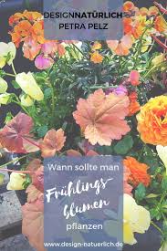 Fruhlingsblumen Ideen Fur Balkonkasten Und Pflanzgefasse Pflanzen Balkonkasten Fruhling Blumen