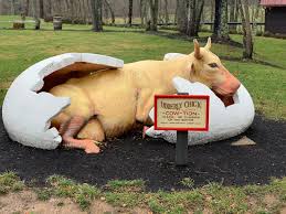 Got my wish --- I saw a bear today - Picture of The Swinging Bridge  Restaurant, Paint Bank - Tripadvisor