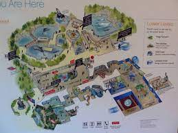 Maybe you would like to learn more about one of these? Aquarium Map Vancouver Aquarium Gallery Vancouver Aquarium Aquarium Architecture Map