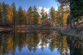 Great savings on hotels & accommodations in sestola, italy. Sestola Alla Scoperta Del Borgo E Del Monte Cimone Donnad
