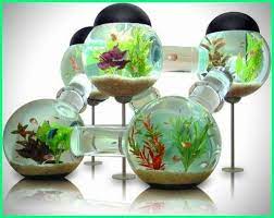 Anda bisa mendekorasi banyak hal untuk interior rumah, salah satunya adalah dengan menambahkan aquarium. 12 Gambar Akuarium Unik Dan Keren Anti Mainstream Dunia Fauna Hewan Binatang Tumbuhan Desain Akuarium Ikan Akuarium Akuarium