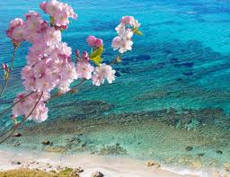 B&b il sole di napoli. Bnb Del Sole Relax Sole E Mare
