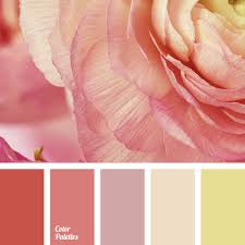 Colors with attributes from both the warm and cool colors can calm and excite. Warm Colors Color Palette Ideas