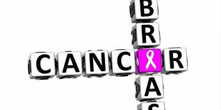 Ujian saringan mamogram percuma diberikan kepada wanita yang berisiko tinggi berpendapatan wanita yang layak akan dirujuk ke pusat mamogram swasta yang berdaftar di bawah program ini. Langkah Persiapan Sebelum Tes Mammogram