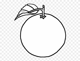 Orange Clipart Florida White Vector Apple Png Download 2004959 Pinclipart Download clementine doodle sketch vector illustration vector art. orange clipart florida white vector