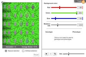 It is a key mechanism of evolution. Gizmo Evolution Mutation And Selection Mutation Evolution The Selection