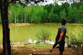 At hawk's nest disc golf. Disc Golf Courses Places To Play Disc Golf In Charlotte Nc