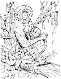 My favorite animal is coloring page. Baby Chimpanzee Coloring Pages Coloringbay