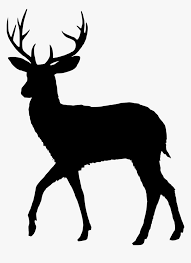 We did not find results for: Transparent Deer Antlers Silhouette Png Deer Silhouette Vector Png Download Kindpng