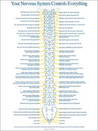 Spinal Nerve Chart Get Well Spine Health Chiropractic