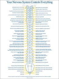 spinal nerve chart get well spine health chiropractic