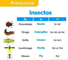 Pin De Nere Lezj En Vocabulario Ingles Espanol 150 Frases En Ingles Vocabulario Ingles Espanol Aprender Ingles Vocabulario