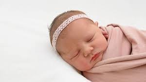 Daniel Braunschweig's Instagram, Twitter & Facebook