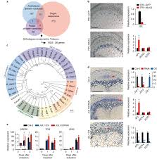 We analyzed portal.moe.edu.my page load time and found that the first response time was 1 sec and then it took 2 sec to load all dom resources and completely render a web page. Translational Control Of Phloem Development By Rna G Quadruplex Julgi Determines Plant Sink Strength Nature Plants