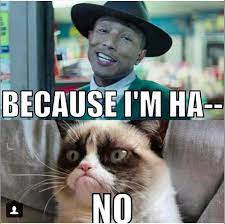 Grumpy Cat Official Because I M Happy No Funny Grumpy Cat Memes Grumpy Cat Grumpy Cat Quotes