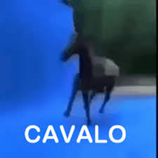We regularly add new gif animations about and. Spinning Horse Cavalo Know Your Meme