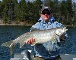 Pin By Ontario S Sunset Country On Ontario Trout Fishing Fish Trout Fishing Fishing Life