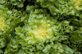 Lasciare l'insalata in frigorifero per circa 2 ore prima di servire. Ricetta Insalata Cotta Agrodolce Insalatone Veganhome