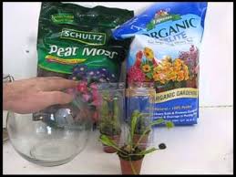 As others have indicated, there are different kinds of potting soil. Venus Fly Trap Terrarium Feeding Care Transplanting Youtube