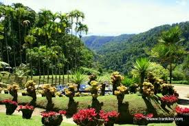 Martinique Photo Jardin De Balata Repinned By Www Powercouplelife Com Martinique Outdoor Plants