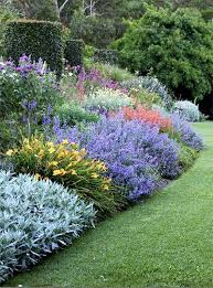 Herbaceous Perennial Plants What Are They How To Grow And Caring Tips Any Plant That Has Green Soft And Succulen Garden Shrubs Plants Herbaceous Perennials