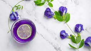 See more ideas about bunga, malaysian dessert, kombucha martani menyediakan bunga telang kering siap seduh dalam ukuran 10 gr, 50 gr dan 100 gr. Get To Know The Benefits Of Telang Flowers For Health