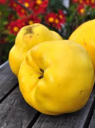 Pates De Fruit Au Coing Pates De Fruits Recettes De Sirop Fruit