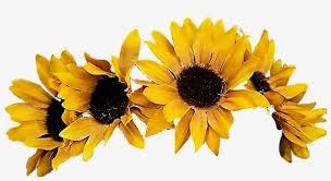 Maybe you would like to learn more about one of these? Sunflower Flowercrown Coronadeflores Flowers Floresfall Yellow Flower Crown Png Free Transparent Png Download Pngkey