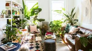 A living wall is a directional alternative to traditional planters and (bonus) acts as a natural work of art. Plant Decor Ideas For The Living Room Bedroom And More Curbed