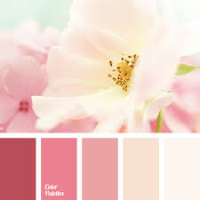 View more related products to Maroon Pink Color Color Palette Ideas