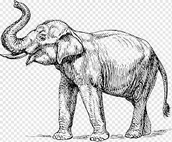 Bingkai undangan hitam putih terbaik image result for sumber batiknusantara.info. Indischer Elefant Elephantidae Stosszahn Lustiger Schwarzweiss Cartoon S Der Enten Afrikanischer Elefant Tierfigur Kunst Png Pngwing