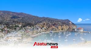California Agency Plans Mule Deer Eradication on Catalina Island