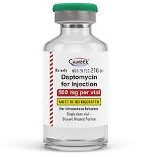 Image result for Daptomycin