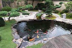 Backyard Fish Farming How To Raise Fish For Food Or Profit At Home Garden Pond Design Outdoor Fish Ponds Fish Ponds Backyard
