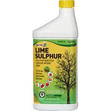 Jerome, owner of the bonsai supply, shows you how to apply lime sulfur to preserve deadwood in your bonsai tree. 1l Lime Sulphur Insecticide Walmart Canada