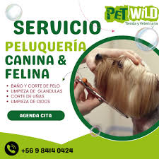 Veterinaria y Peluqueria PetWild