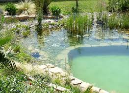 Natural Chlorine Free Swimming Pool Http Www Homeexteriorinterior Com Interior Pictures 201 Natural Swimming Ponds Natural Swimming Pools Pool Water Features