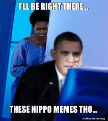I Ll Be Right There These Hippo Memes Tho Redditor Obama S Wife Make A Meme