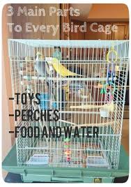Inside, i placed a removable homemade bird play gym, a rope boing and toys. How To Set Up A Birdcage For A Parakeet Or Cockatiel Pethelpful