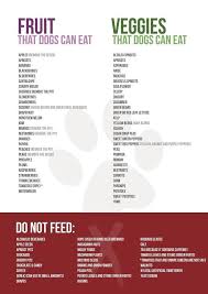 Human Food For Dogs Is Broccoli Safe To Give My Dog Healthy Dog Food Recipes Foods Dogs Can Eat Dog Food Recipes