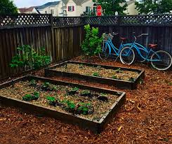 Loved my chip drop, on the list for another batch.i completely understood that what i asked for was a gamble period. Chip Drop Get Free Wood Chip Mulch Delivered Urban Organic Gardener Wood Chip Mulch Mulch Wood Chips