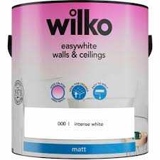 You can also use facade paints on the. Wilko Easywhite Walls Ceilings Intense White Matt Emulsion Paint 2 5l Wilko