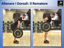 Esercizi per dorsali per donne. Allenare I Dorsali Le Migliori Tirate Dal Basso Corebo