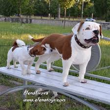 pin auf felt crafts for adults