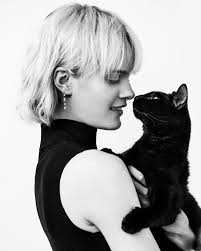 pin on df atelier collection