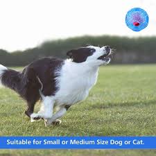 Dog Chew Ball Toy For Boredom Bestanx Iq Treat Interactive Dental Ball Food Dispensing Toys For Small Medium Large Dogs Dog Chews Dog Toy Ball Dogs And Puppies