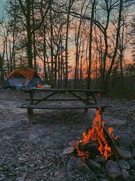 Went Camping For Spring Break Snapped This Pic Camping Tent Camping Outdoor Camping