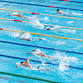 SWA LC Qualifying Meet #2 — Rockingham Stingrays event image